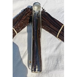 Vanille bourbon gousse Madagascar tube verre